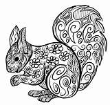 Zentangle Squirrel sketch template