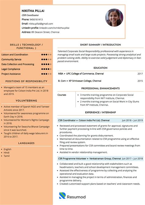 sample resume  csr professional  template writing guide