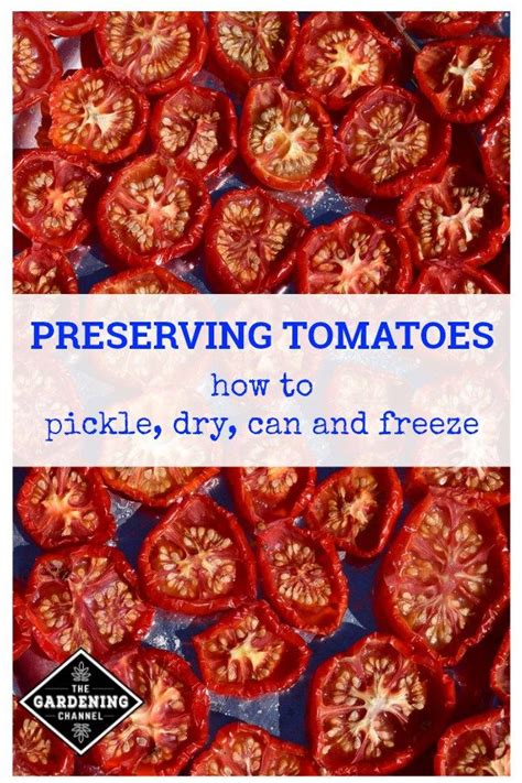 ways  preserve tomatoes seasonal food food cooking recipes