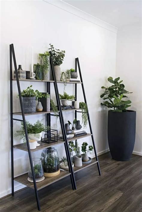 awesome diy plant shelf design ideas  organize  indoor garden