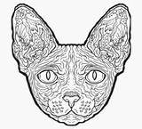 Sphynx Coloring Cat 74kb 200px sketch template
