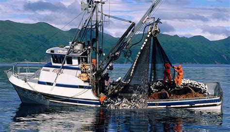 fishing boats multivax  carbon fishing sustainable development