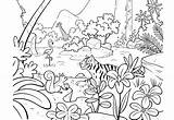 Jungle Coloring Pages Printable Kids Adults Colouring Animal Sheets Children Book sketch template