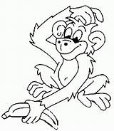 Macaco Macacos Pintar Passaros Jogos Colornimbus sketch template
