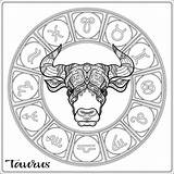 Ox Horoscope Zodiac sketch template