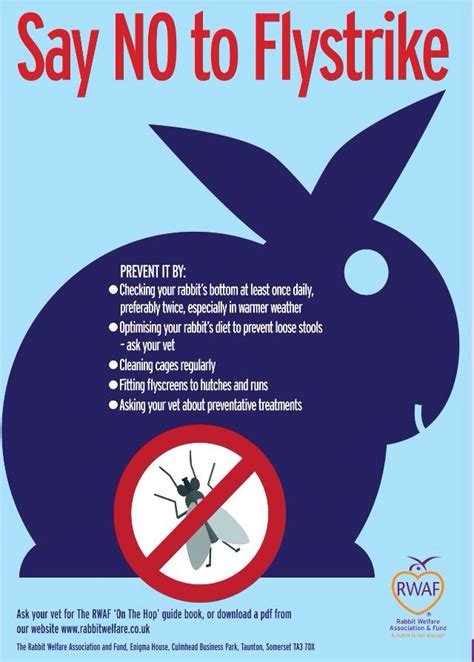 flystrike is a serious threat to rabbits and can be fatal