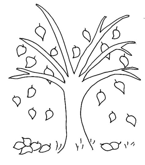 fall trees coloring pages coloring home