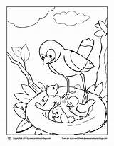 Nest Coloring Bird Pages Birds Family Happy Getdrawings Getcolorings Color Colorings Armadillo sketch template
