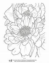 Coloring Pages Faber Castell Blank Choose Board Flower Pencil Drawings sketch template
