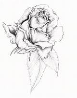 Rose Tattoo Tattoos Flower Designs Wilted Deviantart Template Deviant Traditional Coloring Pages Sketch Tito Ortiz Meaning sketch template