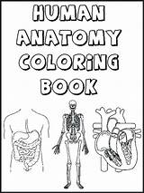 Coloring Pages Human Organs Body Color Printable Getcolorings Print sketch template