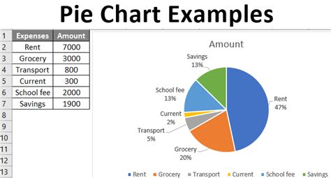 pie chart examples types  pie charts  excel  examples