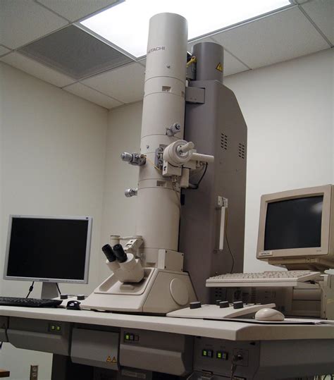 transmission electron microscope center  biotechnology university  nebraskalincoln