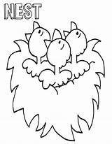 Nest Coloring Pages sketch template