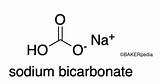 Bicarbonate Sodium Bakerpedia sketch template