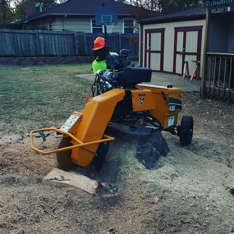 stump grinding stump removal wichita tree service