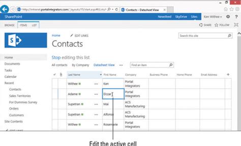how to manage sharepoint app data in a datasheet view dummies