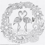 Flamingo Coloring Pages Mandala Zentangle Bird Animal Color Baby Visit Adult Book Choose Board Getcoloringpages sketch template