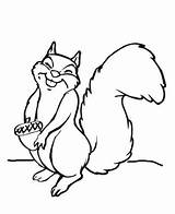 Squirrels Eekhoorn Eikel Topkleurplaat Laughing Warnai sketch template