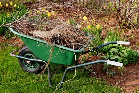 Spring Cleanup Trace Lawn And Landscaping
