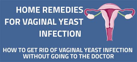 15 home remedies for vaginal yeast infection [infographic] home