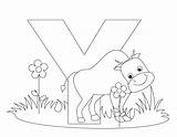 Coloring Alphabet Letter Pages Animal Printable Worksheets Abc Yak Kids Print Animals Preschool Letters Inchworm Stock Color Sheets Bestcoloringpagesforkids Alphabets sketch template
