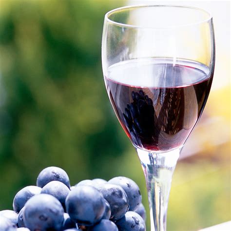 le vin  bon remede contre la depression cuisine pluriellesfr
