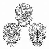 Skull Coloring Pages Mexican Premium Adults Vector sketch template