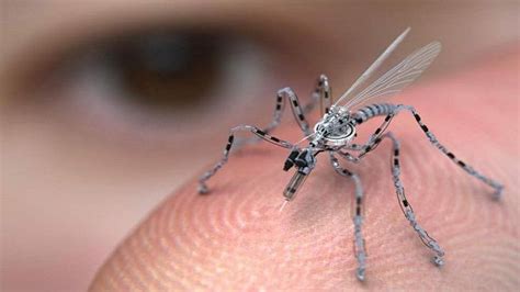 insect spy drone bereiano sagrado