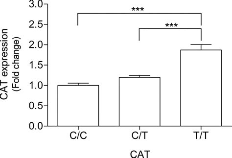 Snp In Promoter Region Of Catalase Affects Cat Expression The Effect