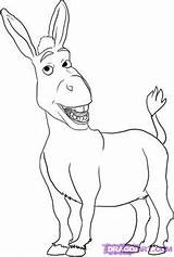 Donkey Shrek Drawing Burro Dragoart Colouring Tail Printable Tutorials Outline Kenziepoo Colorir Dawn sketch template