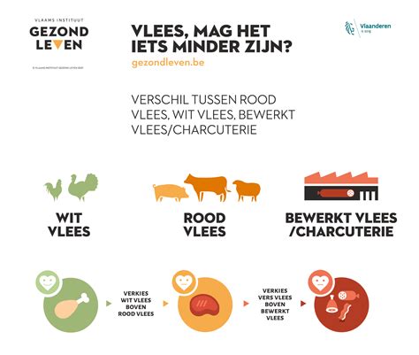 vlees mag het wat minder zijn infografiek downloadbaar lesmateriaal gezonde en duurzame