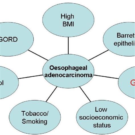 aetiological factors  oesophageal squamous cell cancer
