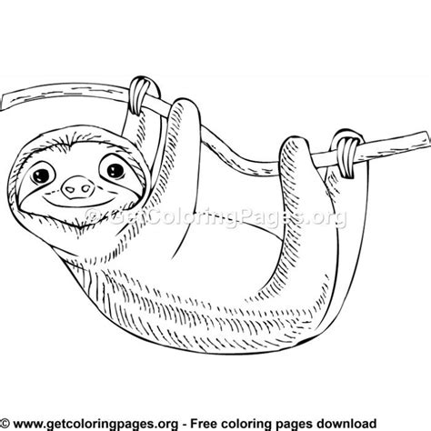 sloth  colouring pages animal coloring pages colouring pages color