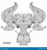 Coloring Taurus Zodiac Drawn Pattern Hand Book Adult Vector Illustration Stock Preview sketch template