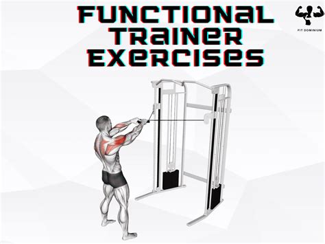 functional trainer exercises  strength    fitdominium