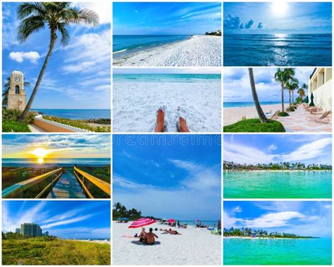 collage  beachs  usa stock image image  collage cityscape