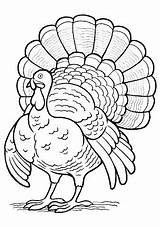 Turkey Coloring Pages Drawing Line Baby Wild Printable Hand Template Easy Thanksgiving Getcolorings Paintingvalley Drawings Clip Color Cute sketch template