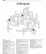 Arthropods Crossword Wordmint Created sketch template
