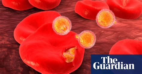 The Beautiful Cure By Daniel M Davis Review How Our Immune System Has