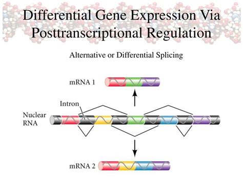 ppt differential gene expression powerpoint presentation free
