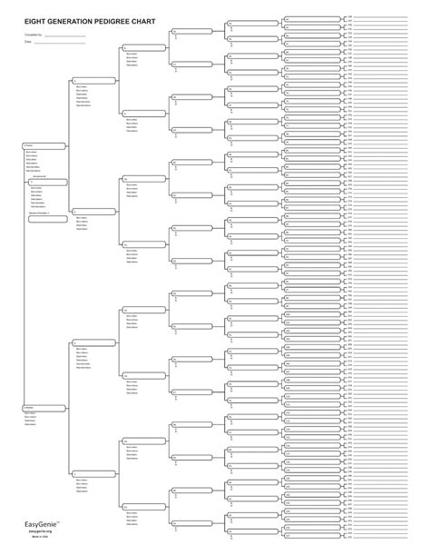 generation family tree template addictionary vrogueco