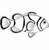 Fish Clown Coloring Pages Sea Animal Drawing Saltwater Colouring Color Printable Print Realistic Getcolorings Getdrawings Kids Goldfish Fancy Buy sketch template