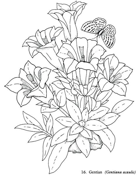 beautiful coloring pages coloring pages