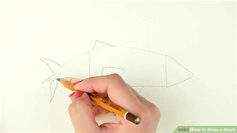 ways  draw  shark wikihow
