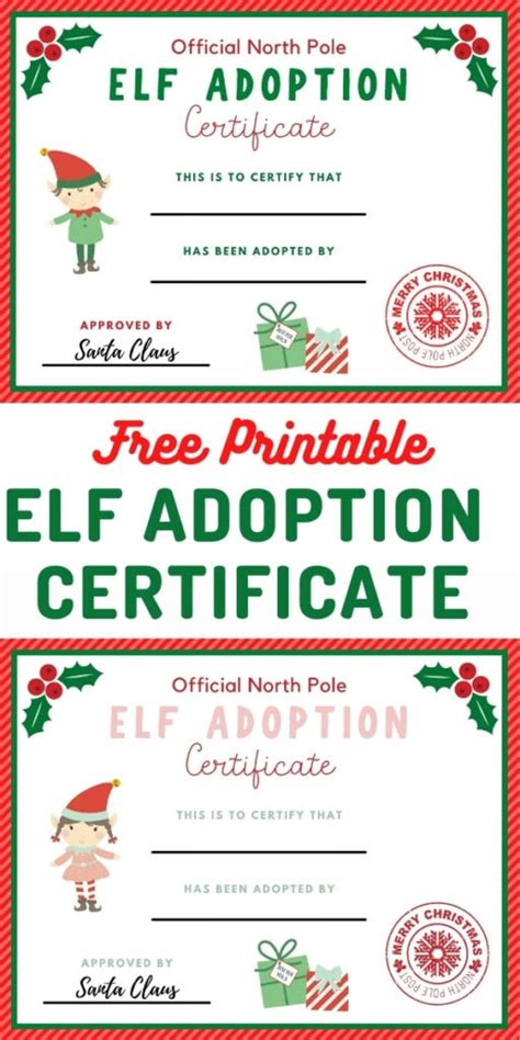 elf adoption certificate   elf   shelf  life lovely