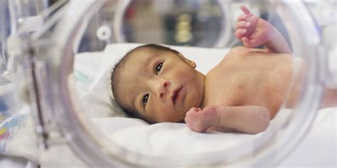 drop   preterm birth rate  good news  american mothers