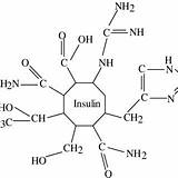 Molecules Glucose Bonding Hydrogen Insulin Showed Molecule sketch template