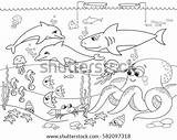 Fish Seabed Octopus Dolphin Raster Crab Seaweed Starfish Waves Cancer Panchenko Viktoriia sketch template