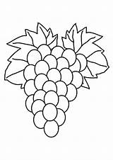 Grapes Coloring Pages Fruit Printable Color Ape Colouring Getcolorings Getdrawings Wine Drawing Colorluna sketch template